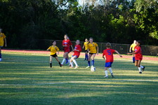 Enlarge photo 386