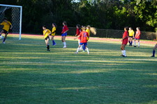 Enlarge photo 388