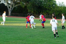 Enlarge photo 37