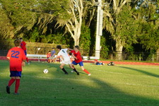 Enlarge photo 44