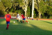 Enlarge photo 46