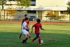 Enlarge photo 51