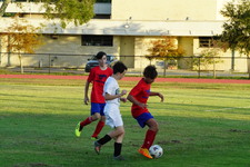 Enlarge photo 52