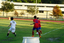 Enlarge photo 53