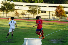 Enlarge photo 54