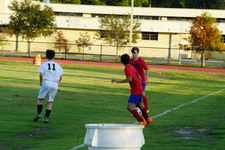 Enlarge photo 56