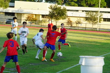 Enlarge photo 57