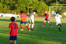 Enlarge photo 64