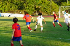 Enlarge photo 63