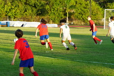 Enlarge photo 66