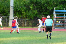 Enlarge photo 74