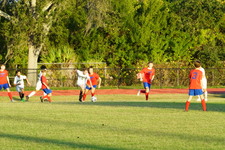 Enlarge photo 81