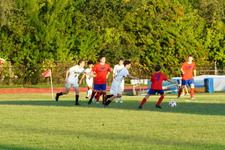 Enlarge photo 84