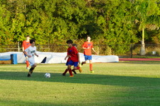 Enlarge photo 85
