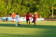 Enlarge photo 87