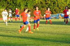 Enlarge photo 92