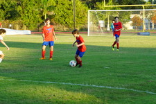 Enlarge photo 97