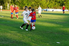 Enlarge photo 106