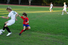 Enlarge photo 108