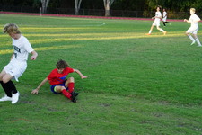 Enlarge photo 109