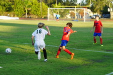 Enlarge photo 113