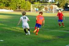 Enlarge photo 115