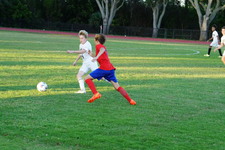 Enlarge photo 116