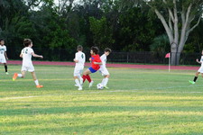 Enlarge photo 119
