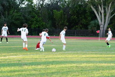 Enlarge photo 120