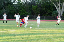 Enlarge photo 122