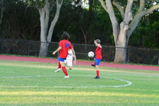 Enlarge photo 135