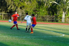 Enlarge photo 140