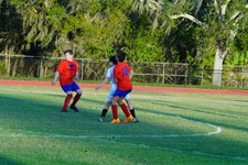 Enlarge photo 141