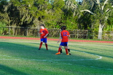 Enlarge photo 142