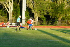 Enlarge photo 143