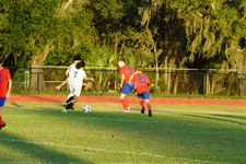 Enlarge photo 145