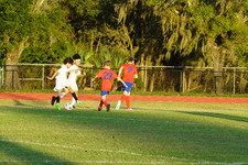 Enlarge photo 147
