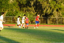 Enlarge photo 148