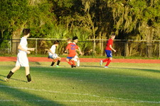 Enlarge photo 149