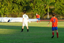 Enlarge photo 155