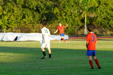 Enlarge photo 154