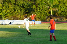 Enlarge photo 156