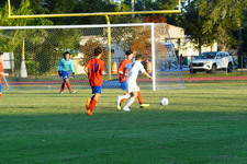 Enlarge photo 157
