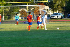 Enlarge photo 158