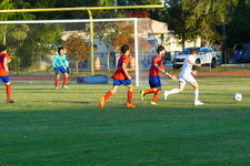 Enlarge photo 159