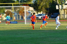 Enlarge photo 162