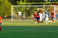 Enlarge photo 161
