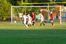 Enlarge photo 166