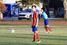 Enlarge photo 165
