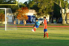 Enlarge photo 168